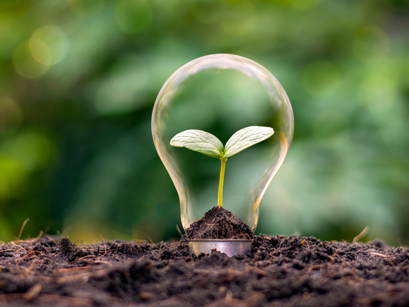 Innovationen Beratungen Pixabay