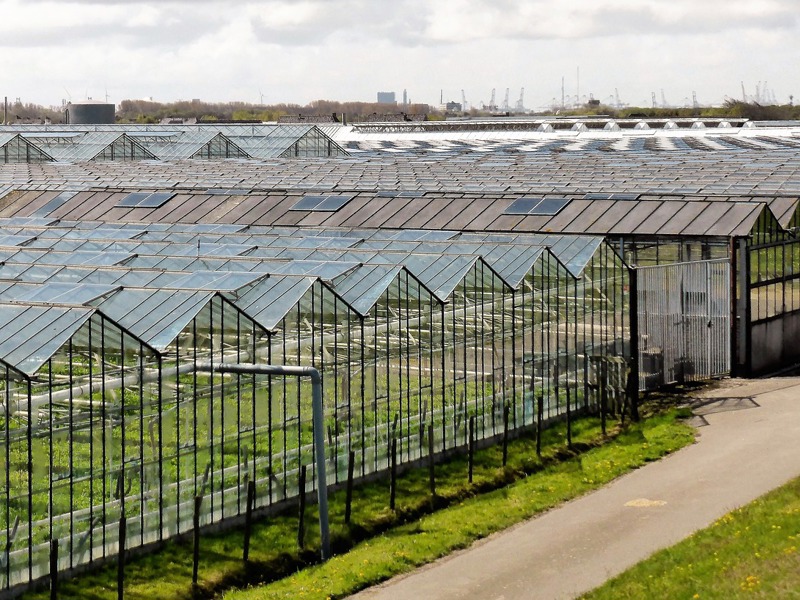 Horticulture 2779709 1280