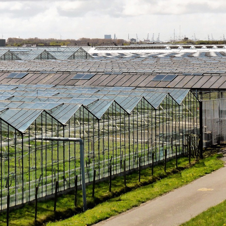 Horticulture 2779709 1280